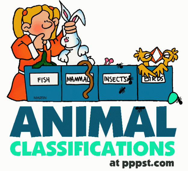 banner_animal_classifications