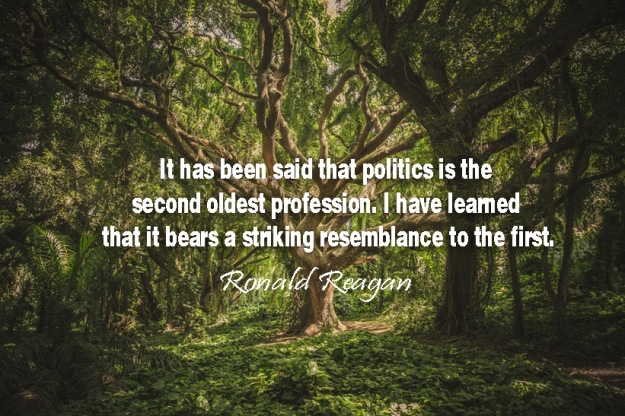 It-has-been-said-that-politics-is-the-second-oldest-profession